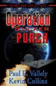 Operation Sucker Punch