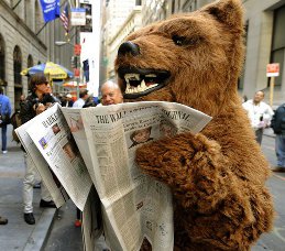 bear-market-treasury